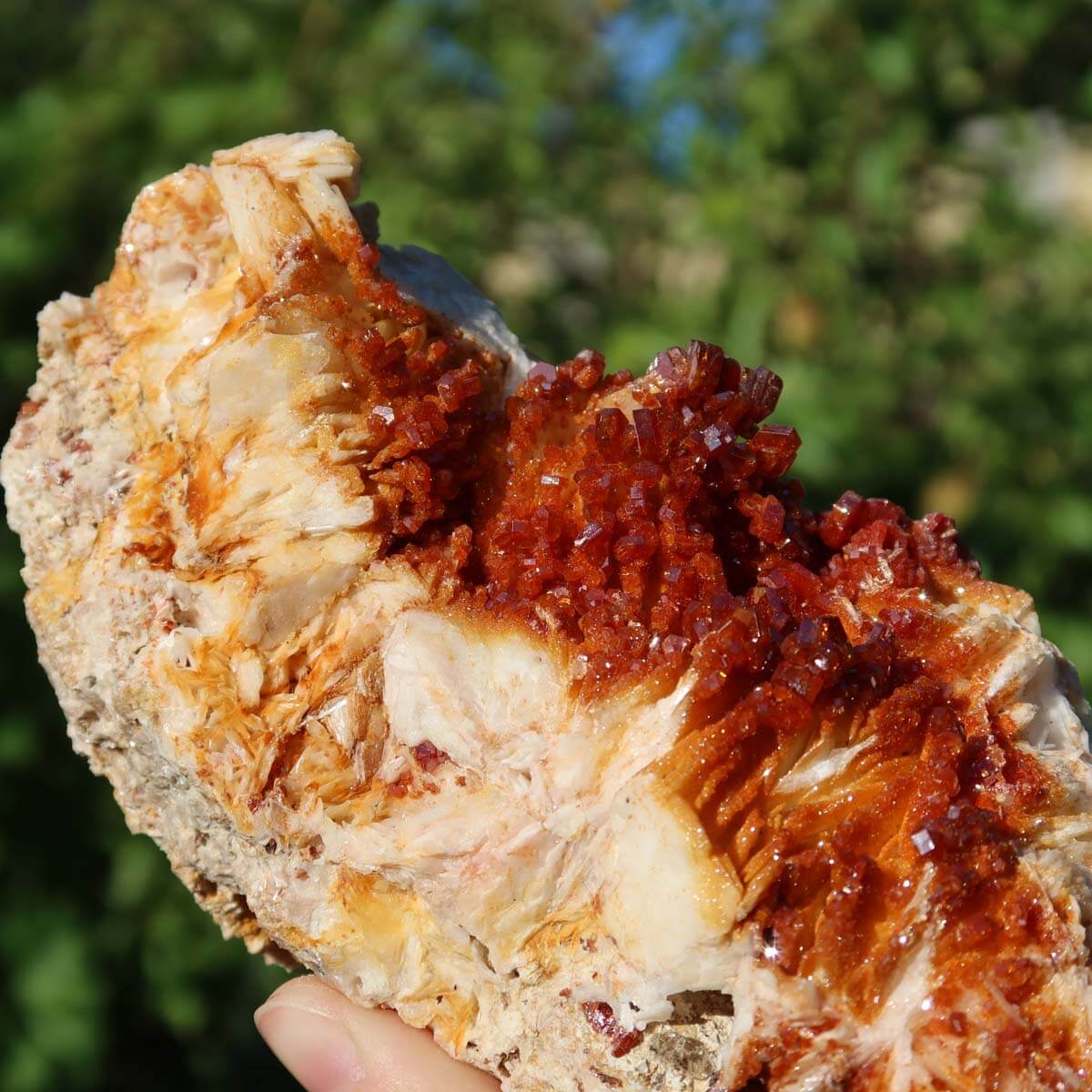 Vanadinit auf Baryt - Natürliche Kristallstufe aus Marokko 21x7x5cm - 1,16kg Nr.80 in Hand gehalten