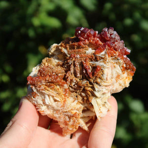 Vanadinit auf Baryt - Natürliche Kristallstufe aus Marokko 8x6x4,5cm - 0,23kg Nr.61 in der Hand gehalten