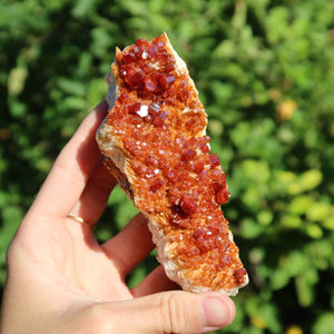 Vanadinit auf Baryt - Natürliche Kristallstufe aus Marokko 10x4x4cm - 0,28kg Nr.79 in der Hand, leuchtende rot-orange Kristalle.