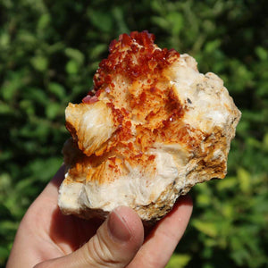 Vanadinit auf Baryt - Natürliche Kristallstufe aus Marokko 9,5x7x5cm - 0,56kg Nr.72 in Hand, rote Kristalle auf Baryt.