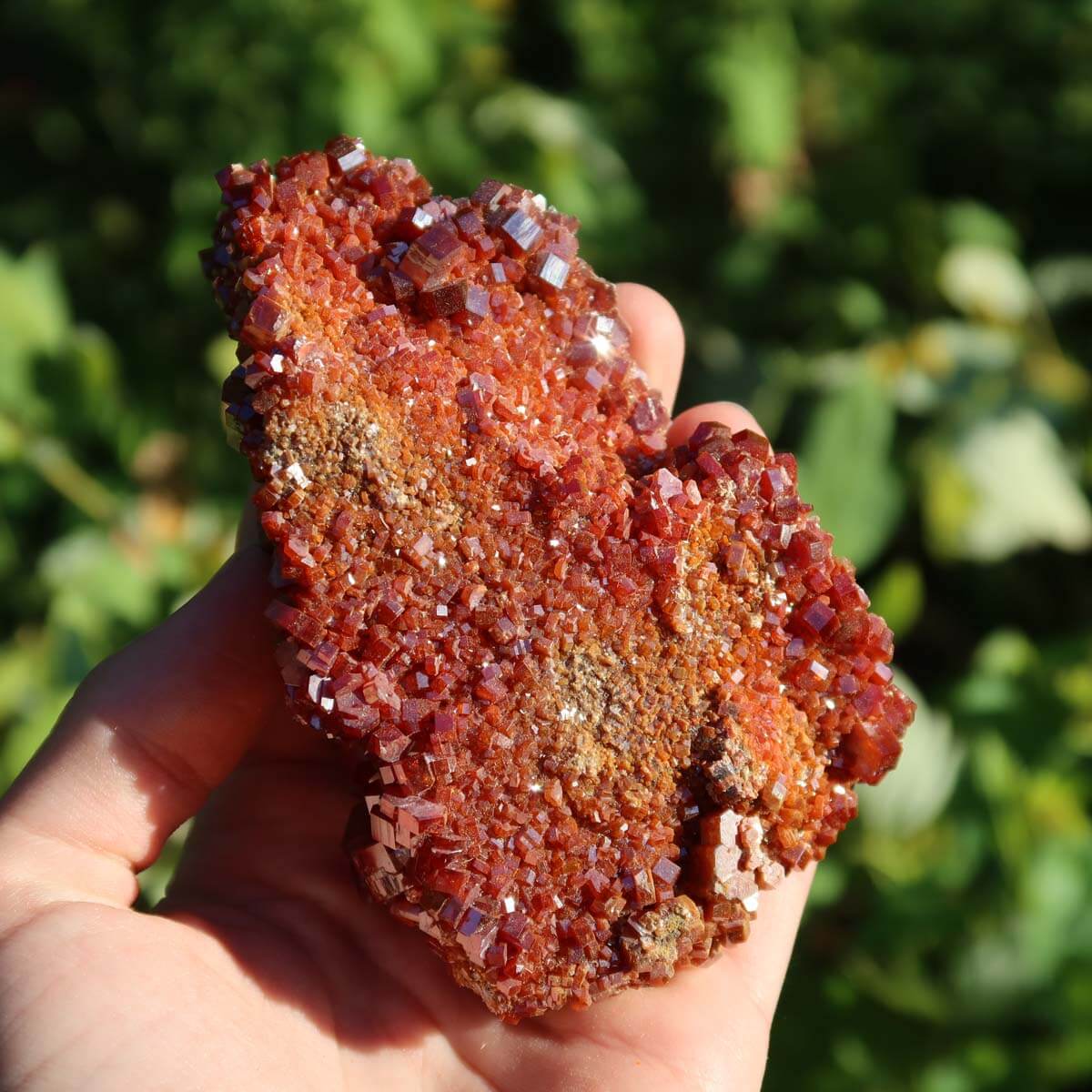 Vanadinit - Natürliche Kristallstufe aus Marokko 10x6x3,5cm - 0,32kg Nr.92, leuchtend rote Kristalle in Hand.