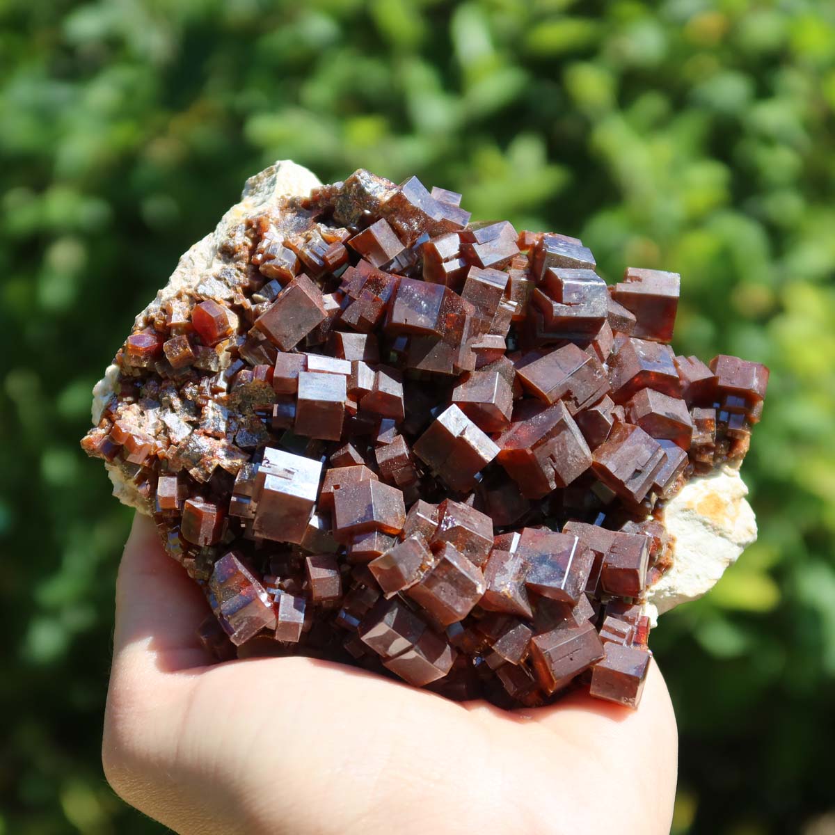 Vanadinit - Natürliche Kristallstufe aus Marokko 10x8x6cm - 0,74kg Nr.15 in Hand gehalten, glänzende Kristalle.
