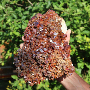 Vanadinit - Natürliche Kristallstufe aus Marokko 29x16x19cm - 10,8kg Nr.102 in Hand, glänzende rote Kristalle.