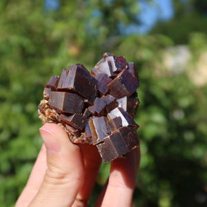Vanadinit - Natürliche Kristallstufe aus Marokko 5,5x5x4cm - 0,2kg Nr.56 in der Hand, leuchtende Kristalle im Freien.