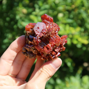 Vanadinit - Natürliche Kristallstufe aus Marokko 6x6x5cm - 0,25kg Nr.28 in einer Hand, leuchtende rot- bis orangefarbene Kristalle.