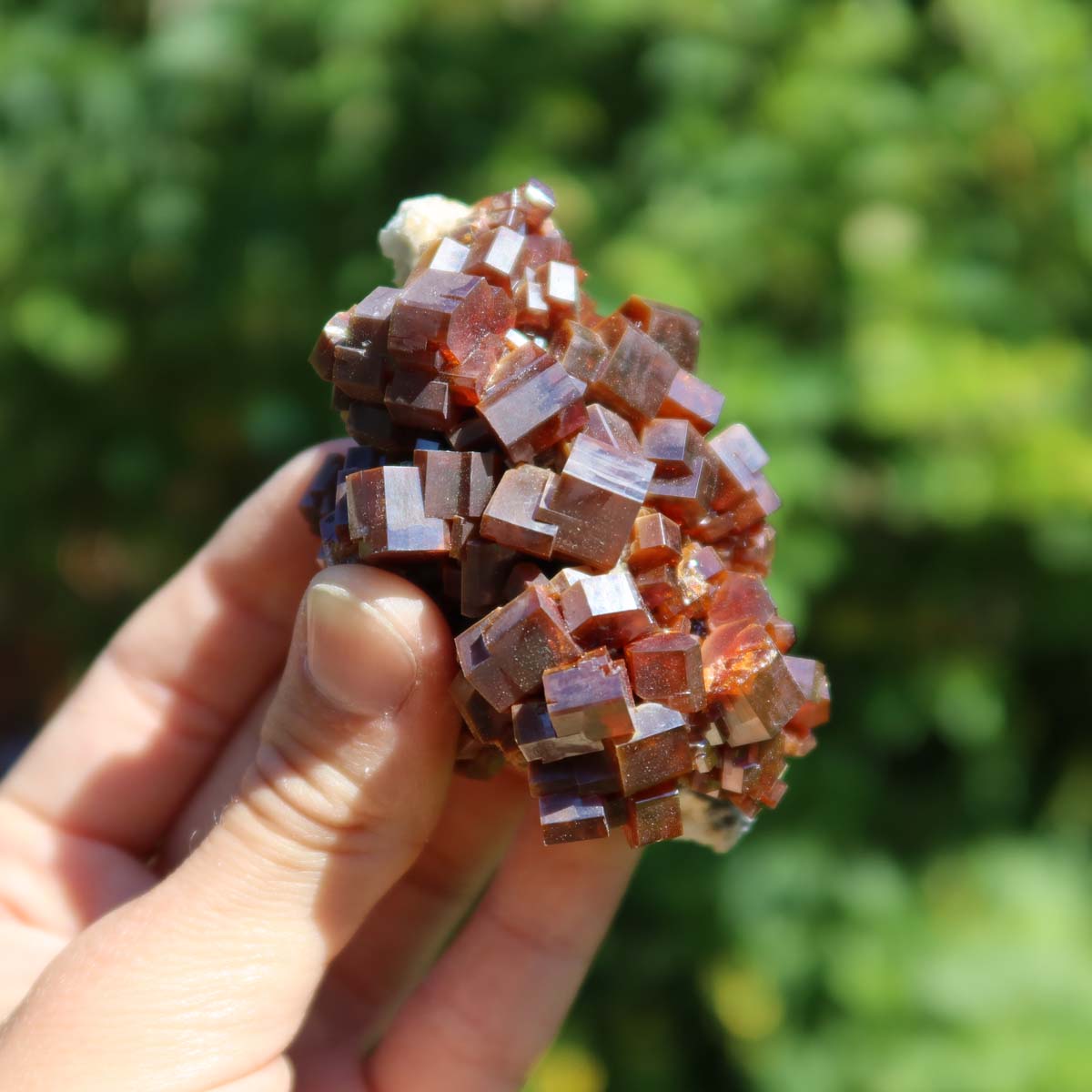 Vanadinit - Natürliche Kristallstufe aus Marokko 7x4,5x4cm - 0,2kg Nr.26 in der Hand gehalten