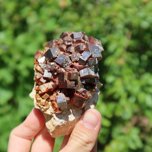 Vanadinit - Natürliche Kristallstufe aus Marokko 8x5x5cm - 0,32kg Nr.24 in der Hand, leuchtende rote Kristalle.