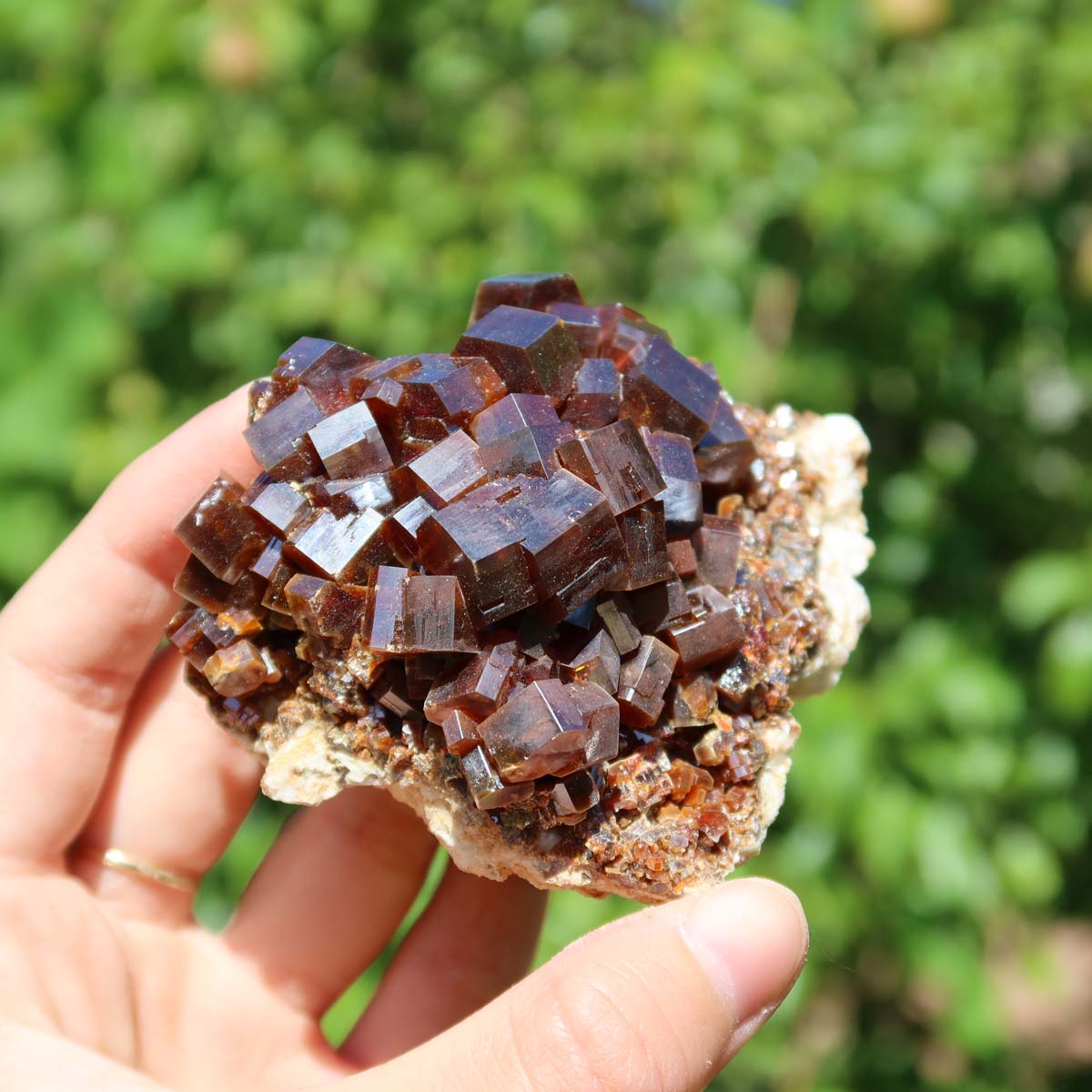 Vanadinit - Natürliche Kristallstufe aus Marokko 8x7x4cm - 0,34kg Nr.19 in einer Hand bei Sonnenlicht.