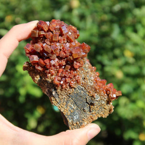 Vanadinit - Natürliche Kristallstufe aus Marokko 9x5x4,5cm - 0,24kg Nr.58 in der Hand, leuchtende Kristalle vor grünem Hintergrund.