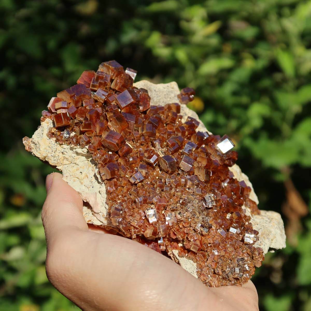 Vanadinit - Natürliche Kristallstufe aus Marokko 12x10x3cm - 0,48kg Nr.98 in der Hand mit leuchtenden Kristallen.