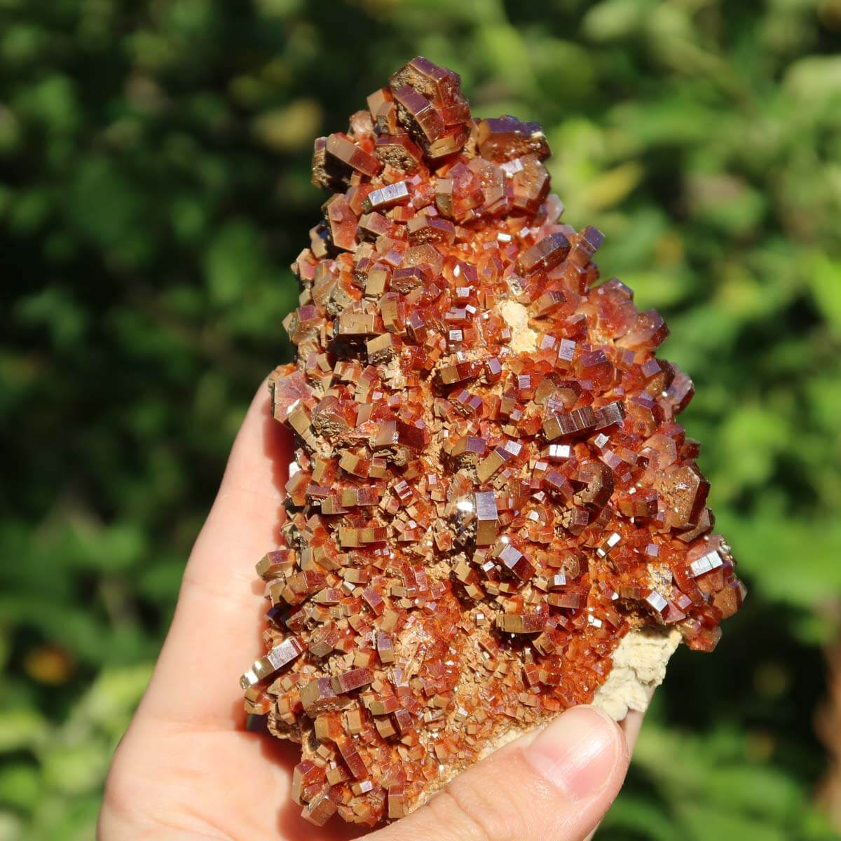 Vanadinit - Natürliche Kristallstufe aus Marokko 11x7x5cm - 0,47kg Nr.99 in einer Hand auf grünem Hintergrund