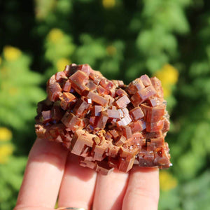 Vanadinit - Natürliche Kristallstufe aus Marokko 6,5x4,5x4cm - 0,25kg Nr.41 in Hand mit grüner Umgebung.