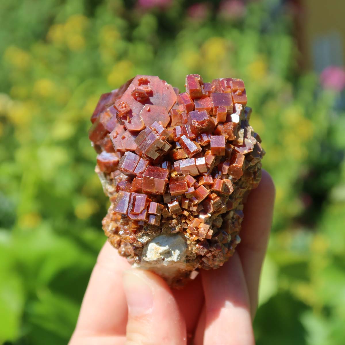 Vanadinit - Natürliche Kristallstufe aus Marokko 6x5x4cm - 0,31kg Nr.17 in der Hand, leuchtende rote Kristalle.