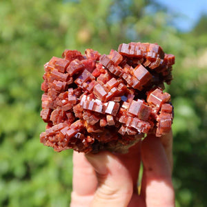 Vanadinit - Natürliche Kristallstufe aus Marokko 7x5,5x4cm - 0,23kg Nr.40 in Hand gehalten mit grünem Hintergrund.