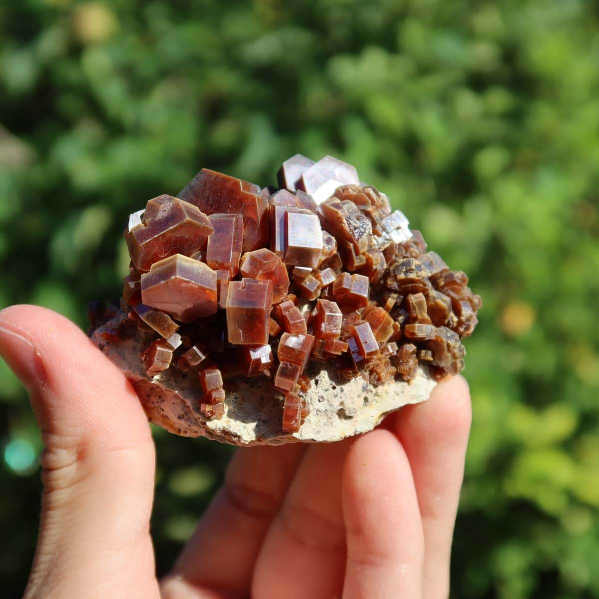 Vanadinit - Natürliche Kristallstufe aus Marokko 6,5x4,5x4,5cm - 0,19kg Nr.51 in der Hand