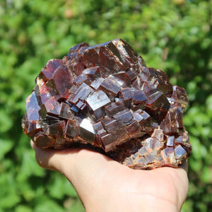 Vanadinit - Natürliche Kristallstufe aus Marokko 11x8x6cm - 1,6kg Nr.16 in Hand gehalten mit grünem Hintergrund.