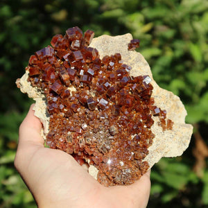 Vanadinit - Natürliche Kristallstufe aus Marokko 12x10x3cm - 0,48kg Nr.98 in einer Hand, glänzende Kristalle