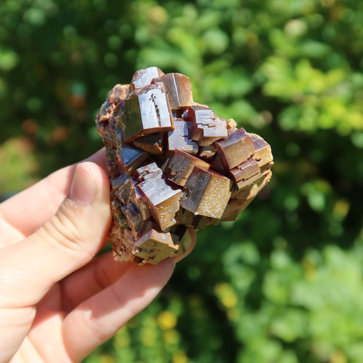 Vanadinit - Natürliche Kristallstufe aus Marokko 6,5x6x4,5cm - 0,31kg Nr.27 in der Hand gehalten.