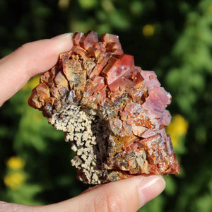 Vanadinit - Natürliche Kristallstufe aus Marokko 6,5x4,5x4cm - 0,25kg Nr.41 in Hand gehalten
