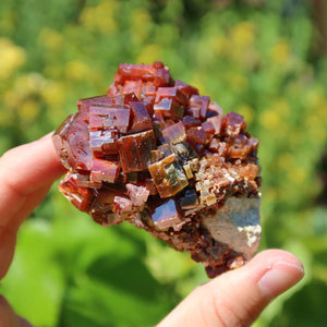 Vanadinit - Natürliche Kristallstufe aus Marokko 6x5x4cm - 0,31kg Nr.17 in der Hand, leuchtende rote Kristalle.