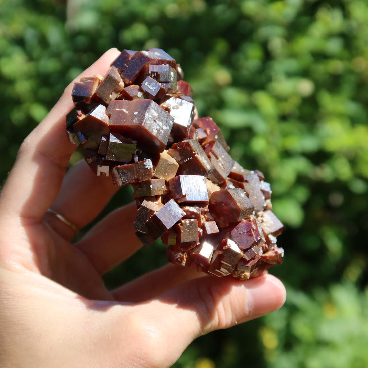 Vanadinit - Natürliche Kristallstufe aus Marokko 8x6x3cm - 0,29kg Nr.29 in der Hand, leuchtend rot-orange Kristalle.