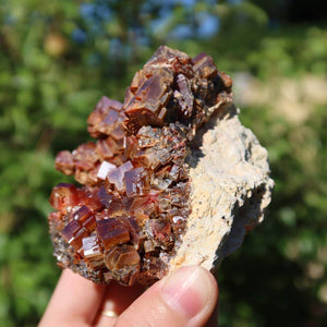 Vanadinit - Natürliche Kristallstufe aus Marokko 8x8x6cm - 0,56kg Nr.57 in Hand, leuchtende rote Kristalle, markante Struktur.
