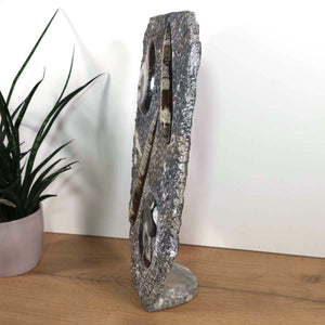 Ammonit - Versteinertes echtes Fossil mit Natursteinsockel, 40 x 26 cm - Nr. 2 auf Holzuntergrund.