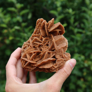 Wunderschöne Sandrose / Wüstenrose - 10x9x8 cm – Exklusive Stücke für Sammler und Liebhaber Unikat Nr.19