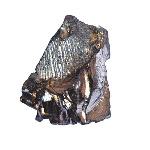 Edelschungit Rohstein - 43x30mm Harmonie und Schutz - UNIKAT Nr.16 Mineral