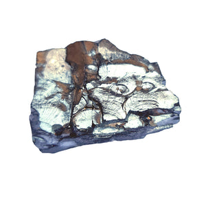 Edelschungit Rohstein - 38x27mm Harmonie und Schutz - UNIKAT Nr.23, hochwertiges Mineral für Wasseraufbereitung und Schutz vor Elektrosmog.